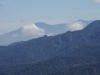 Nevelwoud Monteverde