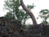 Preah Khan Tempels