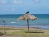 Playa Ganuza