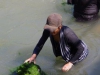 In de Khan River verzamelen vrouwen wier; alles wordt hier gegeten en levert dus geld op