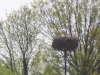 Op het nest op een houten paal broedt een ooievaar