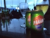 We drinken nog een laatste Panama Lager