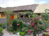 Casa Bella Flor , ren schattig, ommuurd hostel met rieten dak en een tuin vol met bloemen