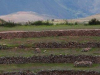 De oude, originele terrassen met op de achtergrond de spectaculaire bergen van de Andes