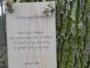 In het bos naar Swolgen hangen stichtelijke Pieterpad gedichten als aflaten gespijkerd aan de bomen