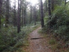Het verharde pad gaat over in een glibberig bospad
