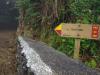 De trail naar Lagoinha, ruim 7 km en bijna 500 meter klimmen en dalen