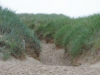 Het duin in, omhoog in rul zand