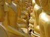 Boeddha's, rijen dik opgesteld achter de Gouden Boeddha