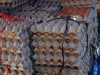 Eieren, honderden eieren