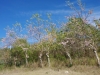 Landschap tussen Trinidad en Cienfuegos