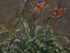 Monet: Les hémérocalles (1914-1917)