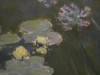 Monet: Nymphéas et agapanthes (1914-1917)