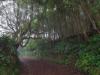 De trail naar Lagoinha