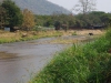 Olifanten grazen aan de oever van de rivier en nemen zelfs een duik